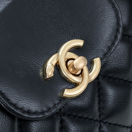 CAMELLIAS 19CM 6170 BLACK