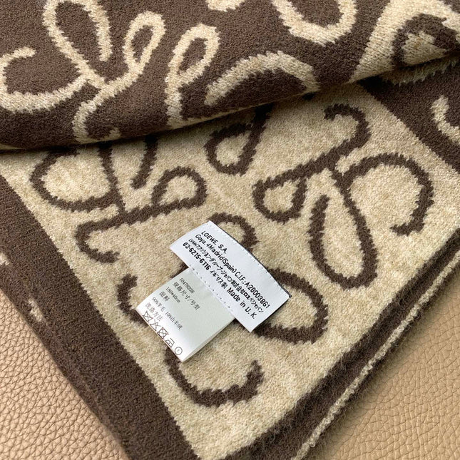 LOEWE 26S SCARF 190 IN CASHMERE 130195