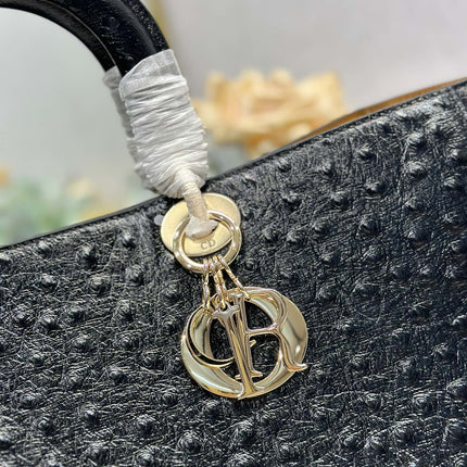 DIOR 26S TOUJOURS BAG 37 IN BLACK OSTRICH