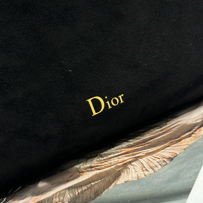 DIOR 26S DIORLY BAG 33 IN BLACK SUEDE