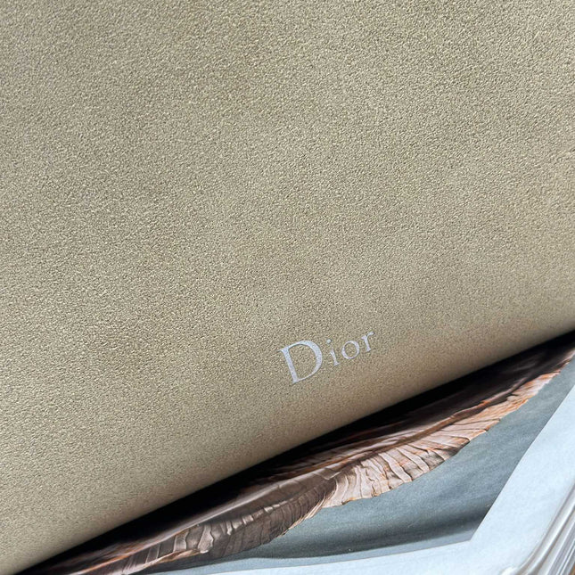 DIOR 26S DIORLY BAG 39 IN BEIGE SUEDE