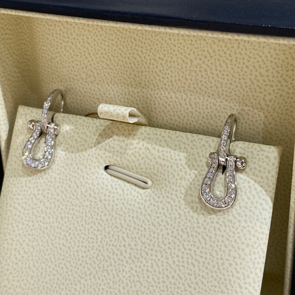 FORCE 10 EARRINGS