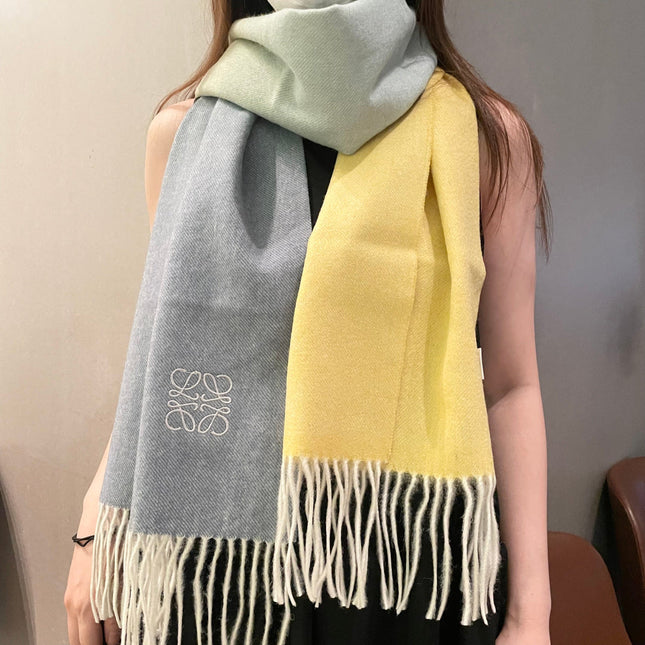 LOEWE 26S SCARF 190 IN CASHMERE 160462