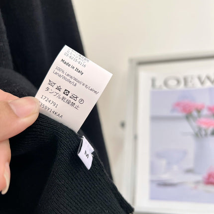 LOEWE 26S LONG-SLEEVE KNIT TOP 669