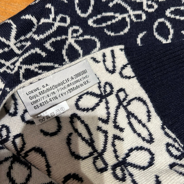 LOEWE 26S SCARF 190 IN CASHMERE WOOL 143458