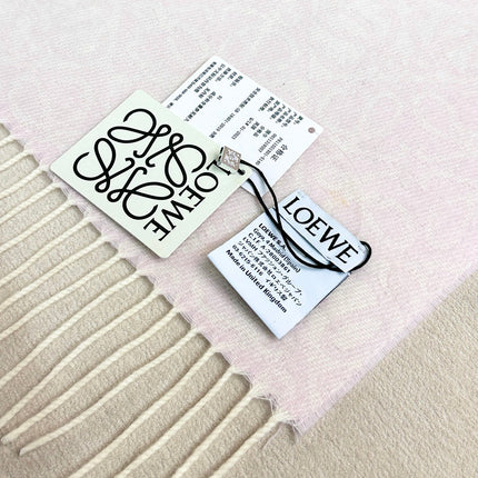 LOEWE 26S SCARF 180 IN CASHMERE WOOL 266429